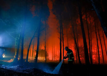 Crece la preocupación en Francia por incendios forestales en Landas