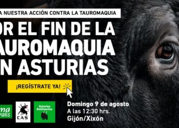 Rendirán homenaje a la memoria de los toros muertos en la plaza de toros de Gijón el 9 de agosto
