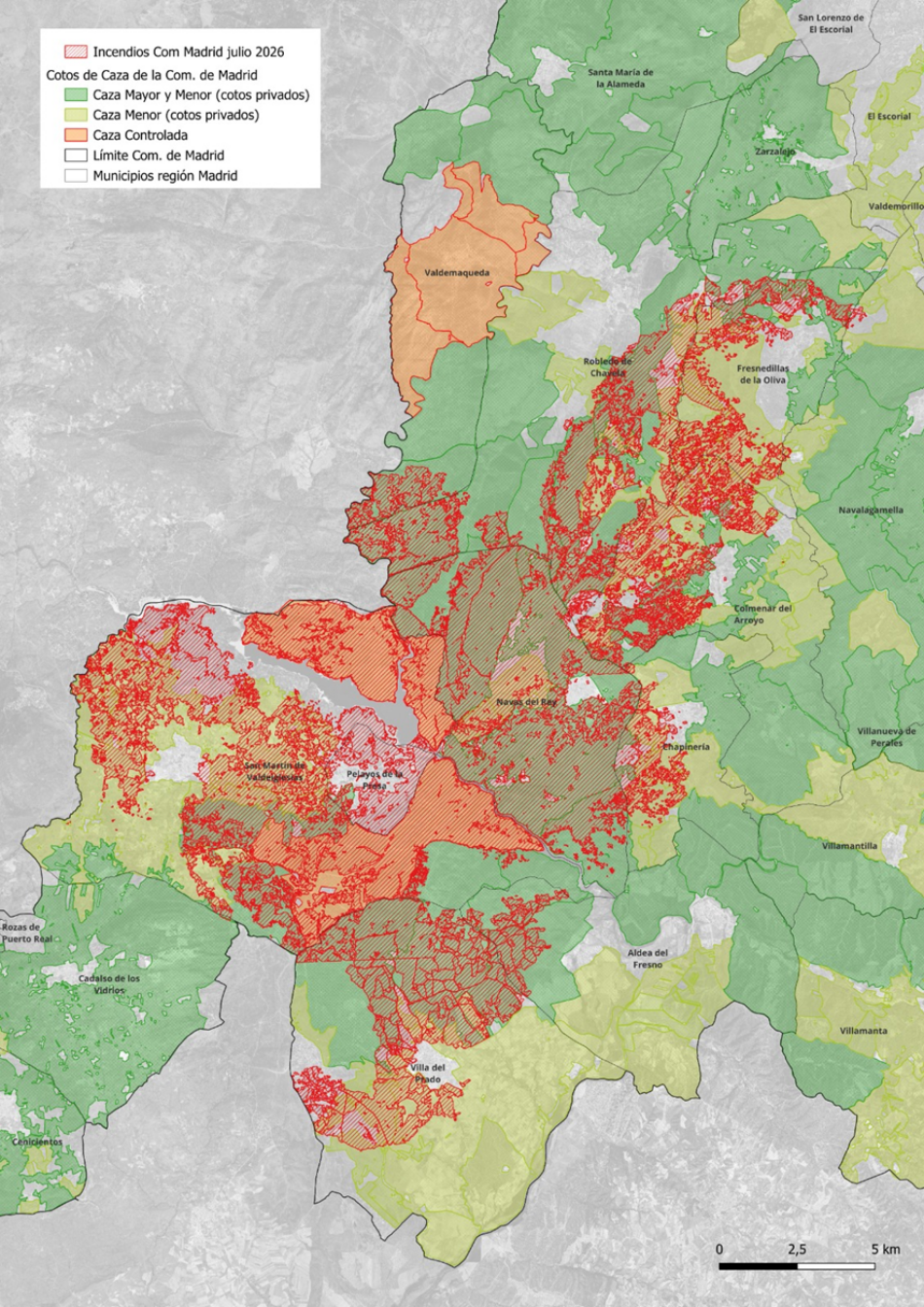 Plataforma Ecologista Madrileña: «La limitación a la caza exclusivamente en los suelos quemados por los incendios del suroeste de Madrid es una medida insuficiente y peligrosa»