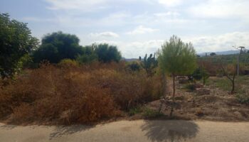 Izquierda Unida reclama al Ayuntamiento de Murcia la limpieza urgente de unos terrenos en la urbanización Monte Blanco