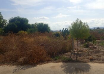 Izquierda Unida reclama al Ayuntamiento de Murcia la limpieza urgente de unos terrenos en la urbanización Monte Blanco