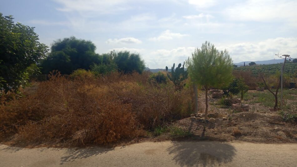 Izquierda Unida reclama al Ayuntamiento de Murcia la limpieza urgente de unos terrenos en la urbanización Monte Blanco
