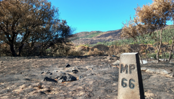 La Plataforma Ecologista Madrileña critica el desinterés de la Consejería de Medio Ambiente ante el desastre ecológico provocado por el incendio de la Sierra Oeste