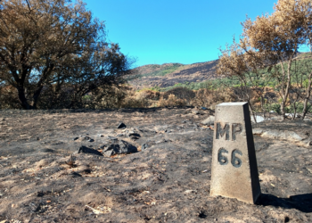 La Plataforma Ecologista Madrileña critica el desinterés de la Consejería de Medio Ambiente ante el desastre ecológico provocado por el incendio de la Sierra Oeste