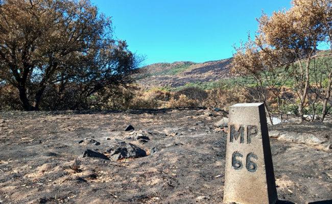 La Plataforma Ecologista Madrileña critica el desinterés de la Consejería de Medio Ambiente ante el desastre ecológico provocado por el incendio de la Sierra Oeste