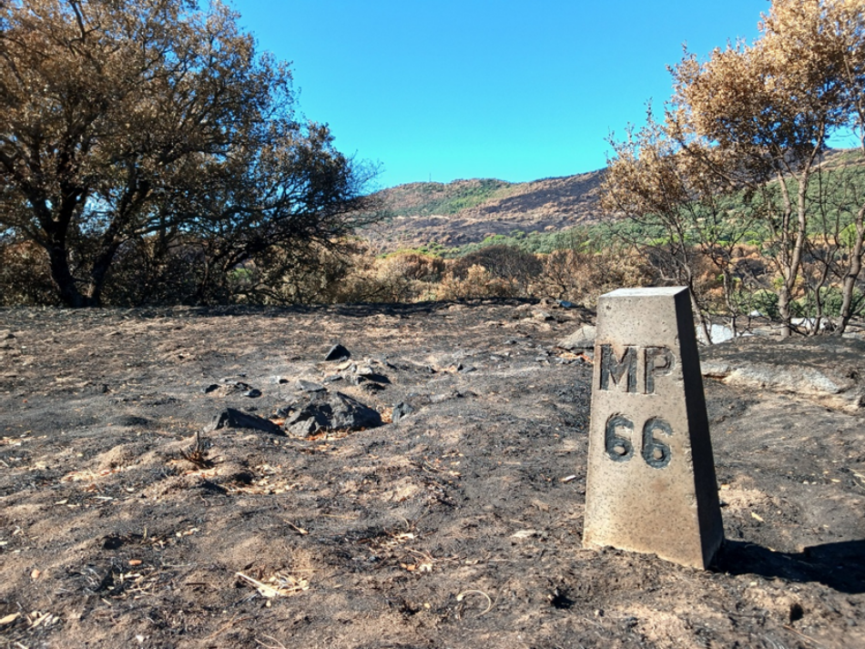 La Plataforma Ecologista Madrileña critica el desinterés de la Consejería de Medio Ambiente ante el desastre ecológico provocado por el incendio de la Sierra Oeste