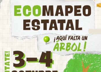 Más de 160 asociaciones se suman a realizar un mapeo sobre el estado del arbolado urbano