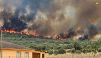 La Plataforma Ecologista Madrileña acude al Defensor del Pueblo ante el «cerrojazo informativo» impuesto por la Consejería de Medio Ambiente sobre datos de incendios forestales