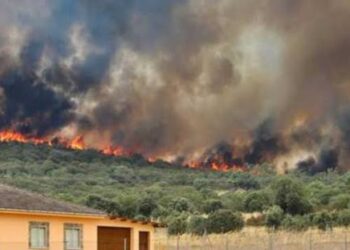 La Plataforma Ecologista Madrileña acude al Defensor del Pueblo ante el «cerrojazo informativo» impuesto por la Consejería de Medio Ambiente sobre datos de incendios forestales