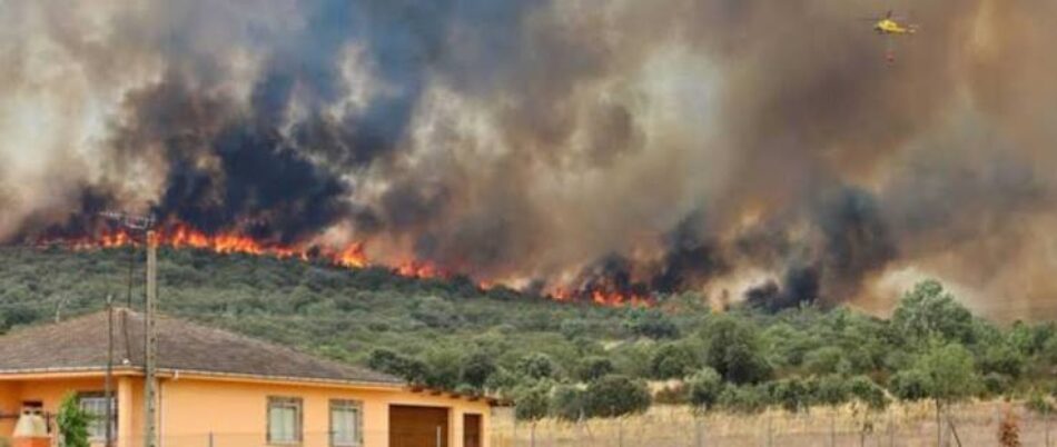 La Plataforma Ecologista Madrileña acude al Defensor del Pueblo ante el «cerrojazo informativo» impuesto por la Consejería de Medio Ambiente sobre datos de incendios forestales