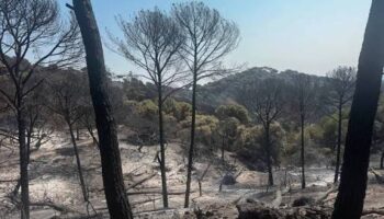 Piden a los gobiernos autonómicos que prohíban la caza como prevención de incendios forestales