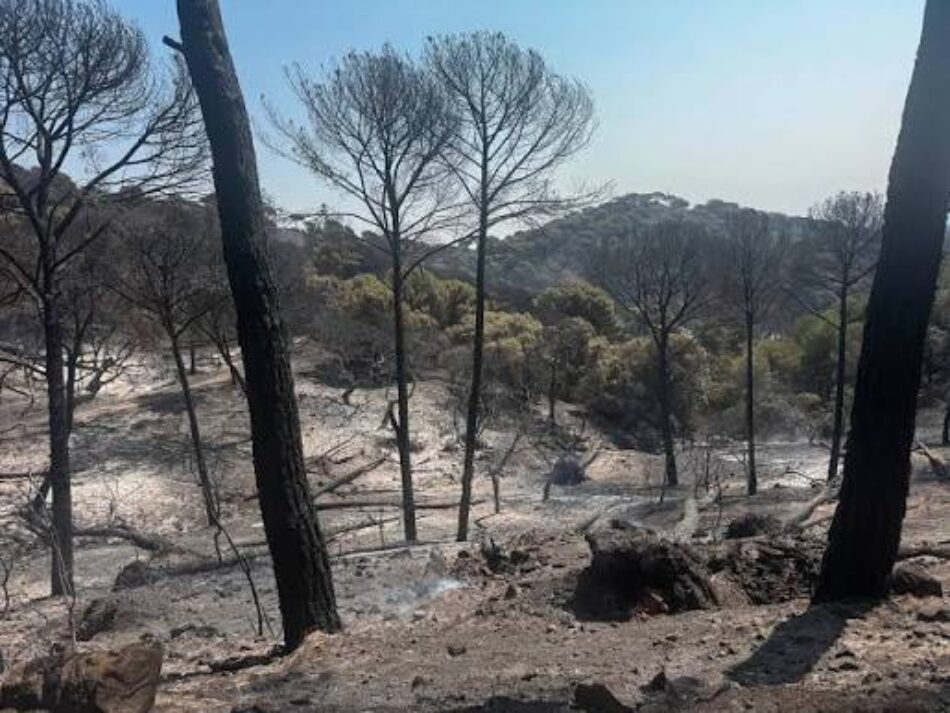 Piden a los gobiernos autonómicos que prohíban la caza como prevención de incendios forestales