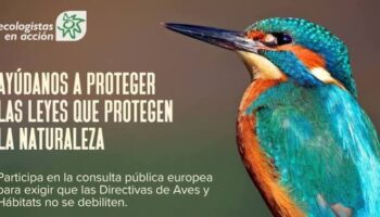 Ecologistas en Acción, SEO/BirdLife y WWF piden a la ciudadanía defender las directivas europeas que protegen la naturaleza para que no sean debilitadas