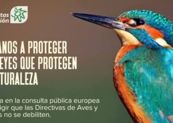 Ecologistas en Acción, SEO/BirdLife y WWF piden a la ciudadanía defender las directivas europeas que protegen la naturaleza para que no sean debilitadas