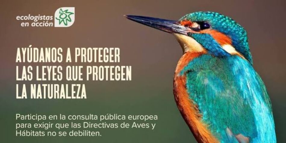 Ecologistas en Acción, SEO/BirdLife y WWF piden a la ciudadanía defender las directivas europeas que protegen la naturaleza para que no sean debilitadas