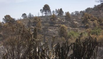 Ecologistes en Acció reclama una moratoria de la caza a la Serra d’Espadà después del gran incendio forestal