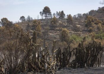 Ecologistes en Acció reclama una moratoria de la caza a la Serra d’Espadà después del gran incendio forestal