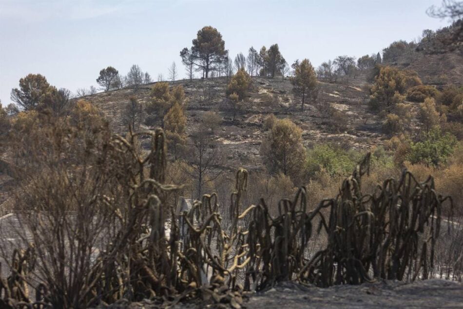 Ecologistes en Acció reclama una moratoria de la caza a la Serra d’Espadà después del gran incendio forestal