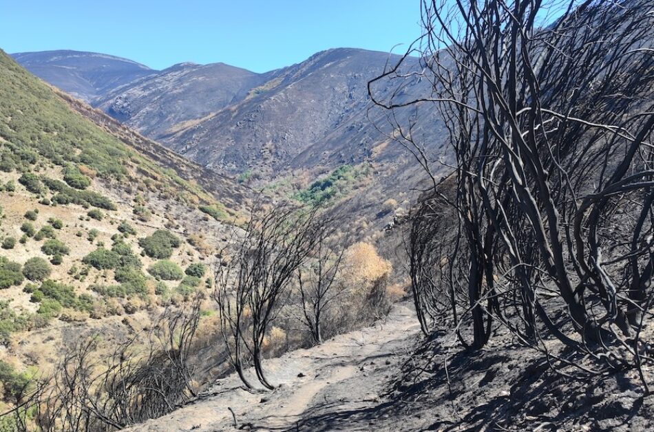 Alianza Verde considera lamentable que haya arrancado la media veda de caza tras un verano especialmente duro por los incendios y pide que se suspenda en las zonas afectadas