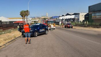 Ecologistas en Acción de Mérida denuncia el abandono del Polígono Industrial El Prado tras el incendio del pasado viernes