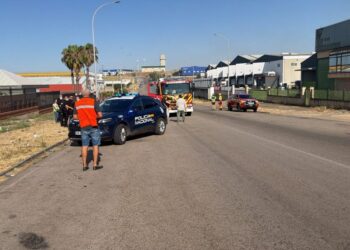 Ecologistas en Acción de Mérida denuncia el abandono del Polígono Industrial El Prado tras el incendio del pasado viernes