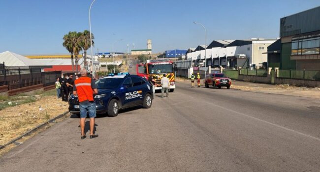 Ecologistas en Acción de Mérida denuncia el abandono del Polígono Industrial El Prado tras el incendio del pasado viernes