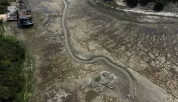 Del Amazonas a Europa: las sequías son cada vez más largas y frecuentes