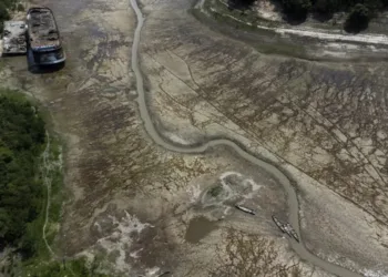 Del Amazonas a Europa: las sequías son cada vez más largas y frecuentes