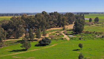La plataforma SAVE! denuncia que el proyecto urbanístico de Santa Bárbara se basa en un estudio ambiental «mutilado» que oculta su impacto real
