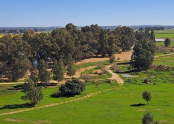 La plataforma SAVE! denuncia que el proyecto urbanístico de Santa Bárbara se basa en un estudio ambiental «mutilado» que oculta su impacto real