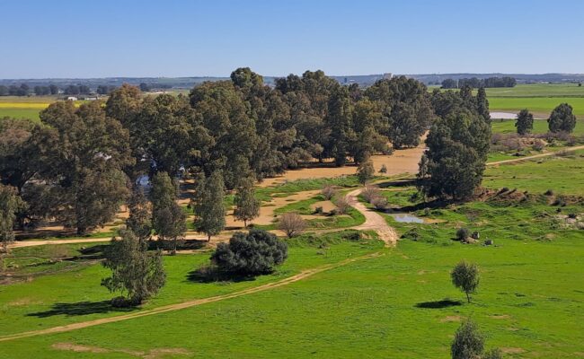 La plataforma SAVE! denuncia que el proyecto urbanístico de Santa Bárbara se basa en un estudio ambiental «mutilado» que oculta su impacto real