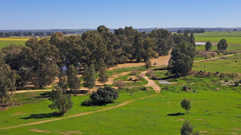 La plataforma SAVE! denuncia que el proyecto urbanístico de Santa Bárbara se basa en un estudio ambiental «mutilado» que oculta su impacto real