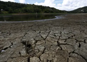 Danubio registra mínimos históricos por sequía extrema en Europa
