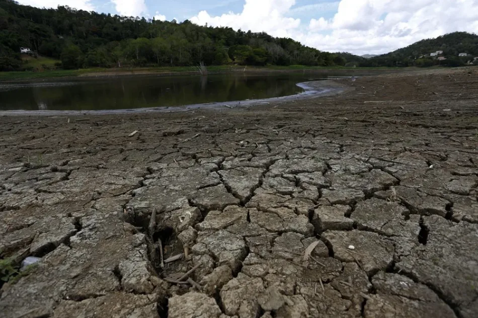 Danubio registra mínimos históricos por sequía extrema en Europa
