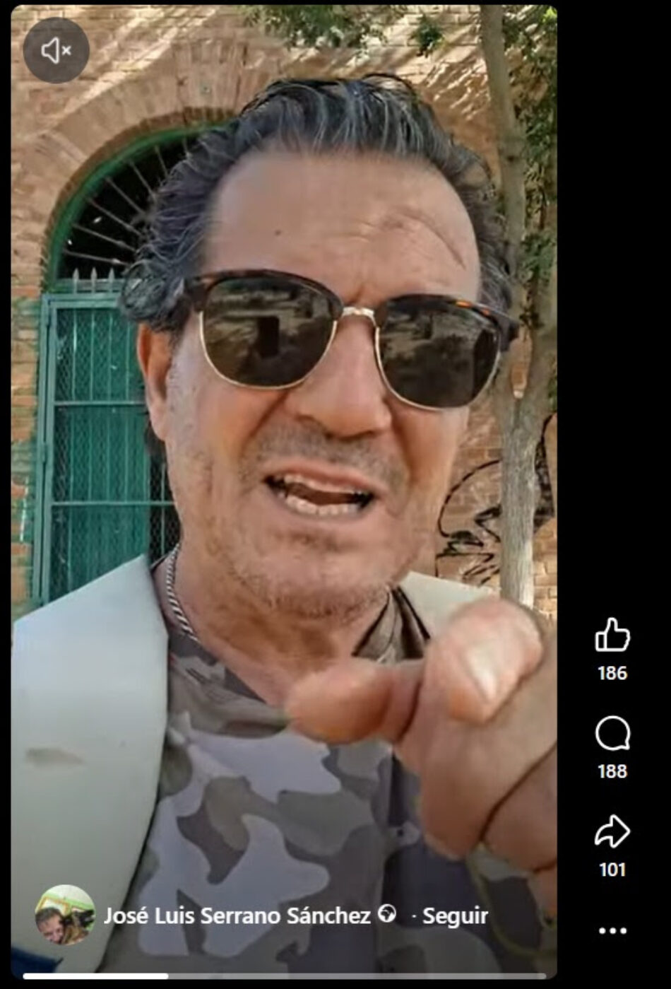 PACMA denunciará a un vecino de Valdepeñas que asegura haber matado a 40 gatos comunitarios