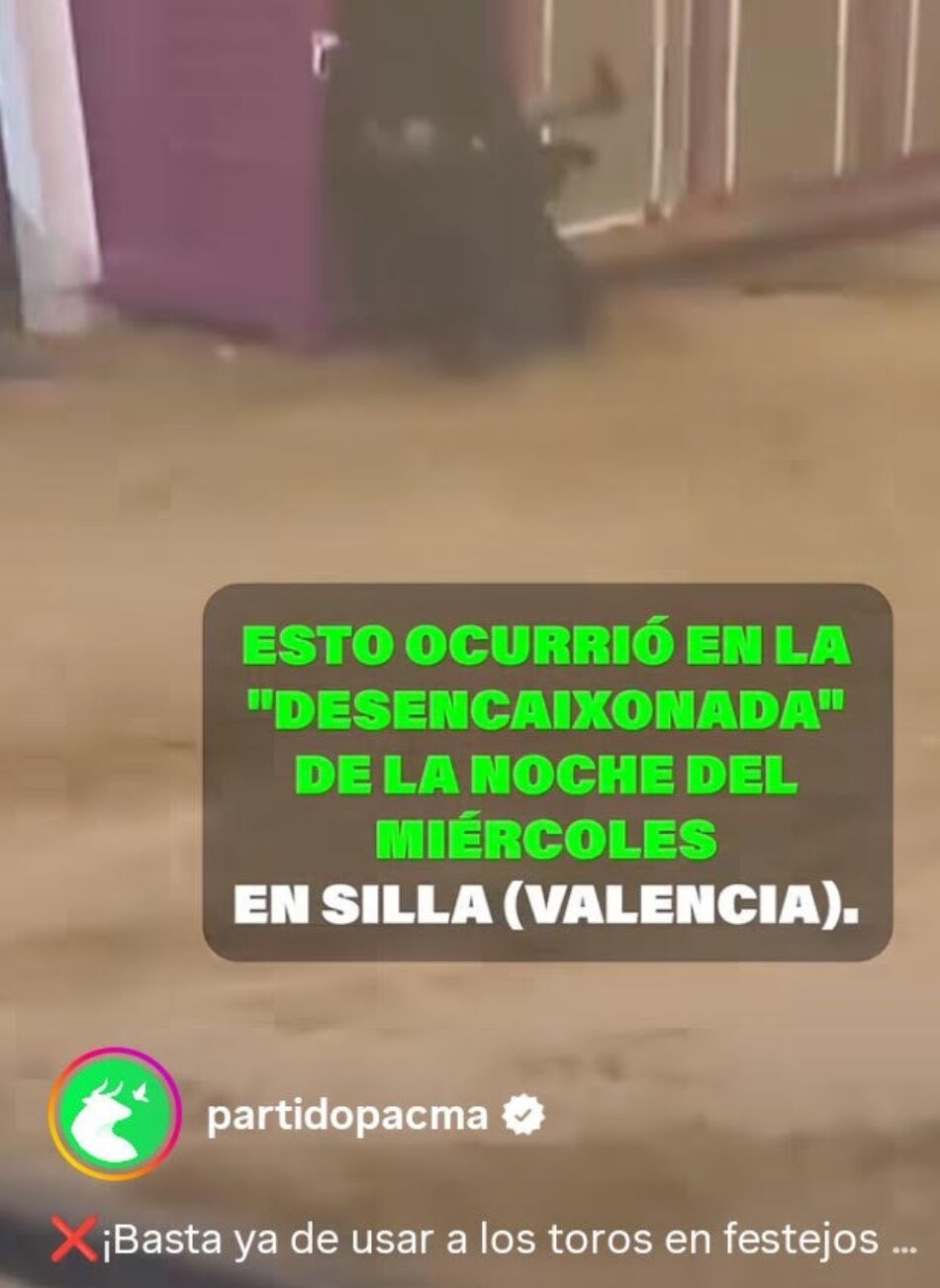 La Plataforma Defensa Animal muestra su indignación tras la muerte de un toro en los festejos de Silla
