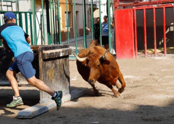 Piden al Ayuntamiento de Tírig que no vuelva a hacer festejos taurinos tras la muerte de un joven