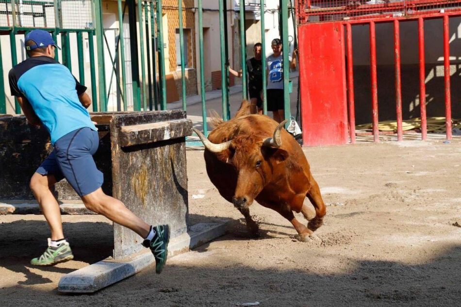 Piden al Ayuntamiento de Tírig que no vuelva a hacer festejos taurinos tras la muerte de un joven