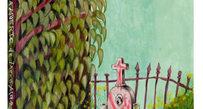 El Ministerio de Cultura concede el Premio Nacional del Cómic 2026 a Irene Márquez
