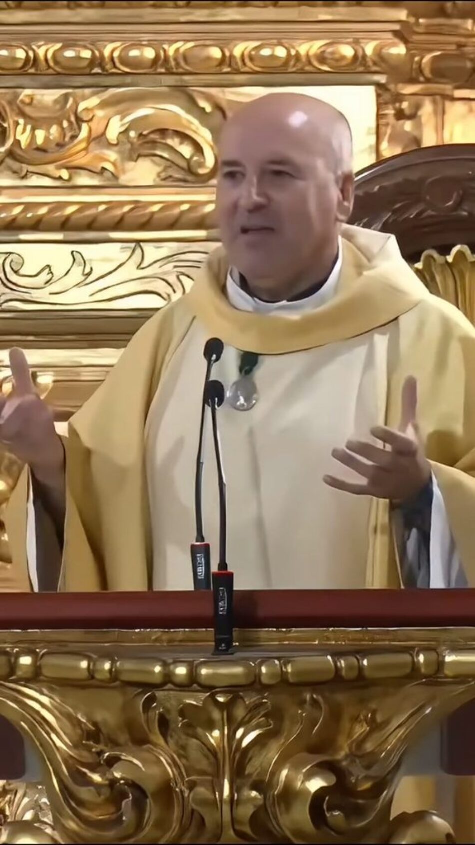 PACMA pide a la Diócesis de Jaén que aparte de sus funciones al párroco de Sabiote tras ensalzar un festejo taurino