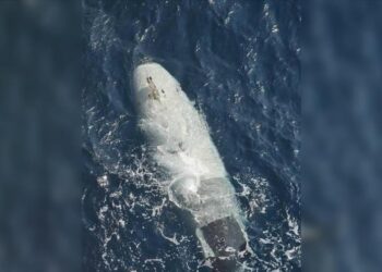 Irán captura segundo dron submarino de EEUU en el estrecho de Ormuz