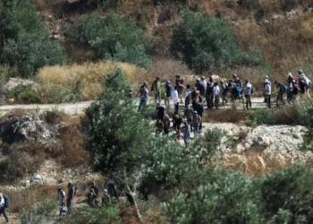 Cisjordania: Colonos atacan casas palestinas en Silwad y roban ganado