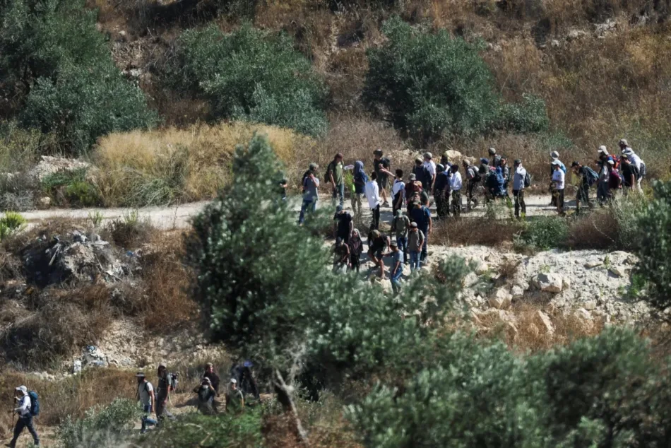 Cisjordania: Colonos atacan casas palestinas en Silwad y roban ganado