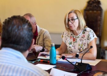 VTLP acusa al Gobierno de PP y Vox de “poner en riesgo la salud” al rebajar los estándares de contaminación del aire