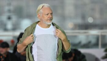 Assange en X: «I’m back»