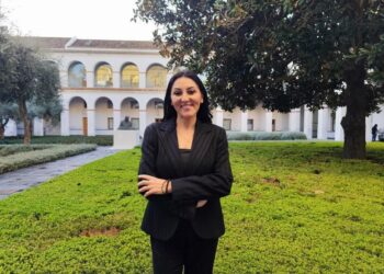 Podemos Andalucía reclama a la Junta la reducción de ratios y frenar la privatización de la FP