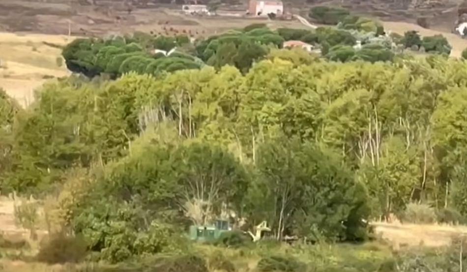 La pistachera Sancorganic arrasa 56 hectáreas de bosque de ribera junto al río Jarama con la complicidad de la Comunidad de Madrid