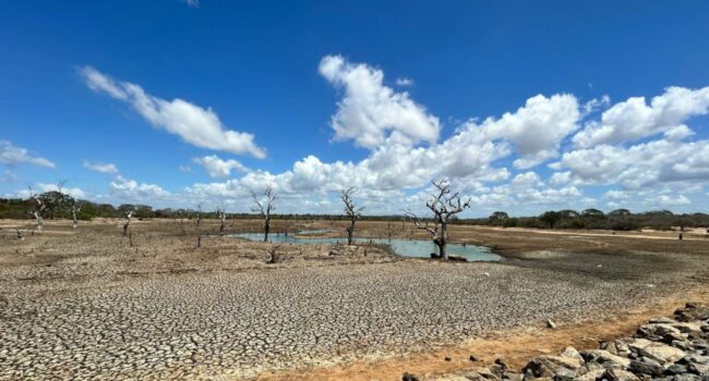 ‘El Niño’ crece y aumentará el riesgo de fenómenos meteorológicos extremos hasta entrado 2027
