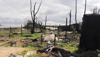 Salvemos Doñana denuncia que el abandono institucional mata en los asentamientos de Huelva