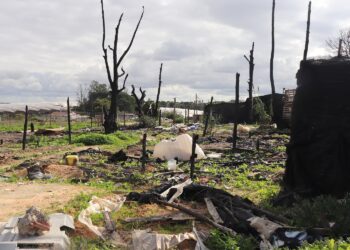 Salvemos Doñana denuncia que el abandono institucional mata en los asentamientos de Huelva